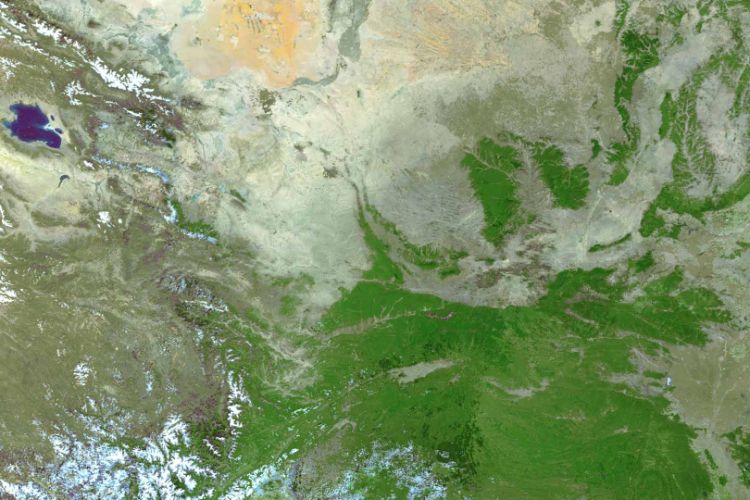 Interview - How to become climate neutral?